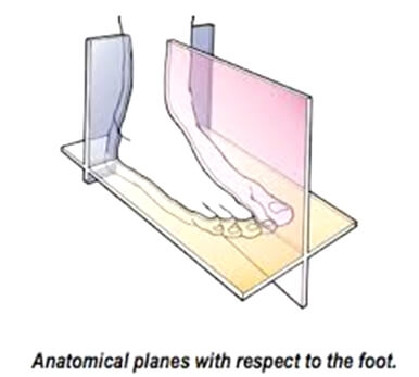 Dr. Brandon Nelson, A Double Board Certified Foot Physician & Surgeon, Issaquah’s Top Podiatrist, Discusses Your Bunion